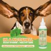 Dog Ear Cleaner Solution with Peppermint Helps to Remove Wax Debris Odor Natural Puppy and Dog Ear Wash or Otic Cat Ear Cleaner Drops No More Dog Head